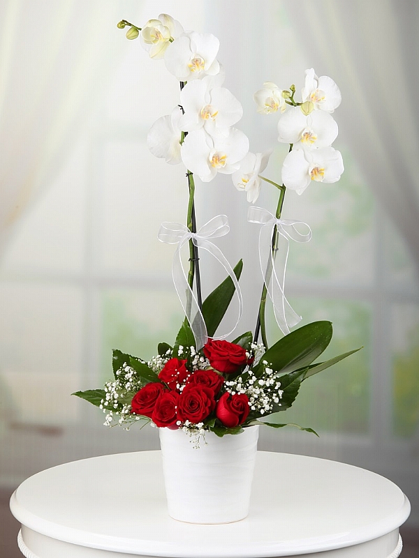 Aynı Gün Teslimat orkide ve gül/çift dallı orkide 7dal gül seramik vazoda